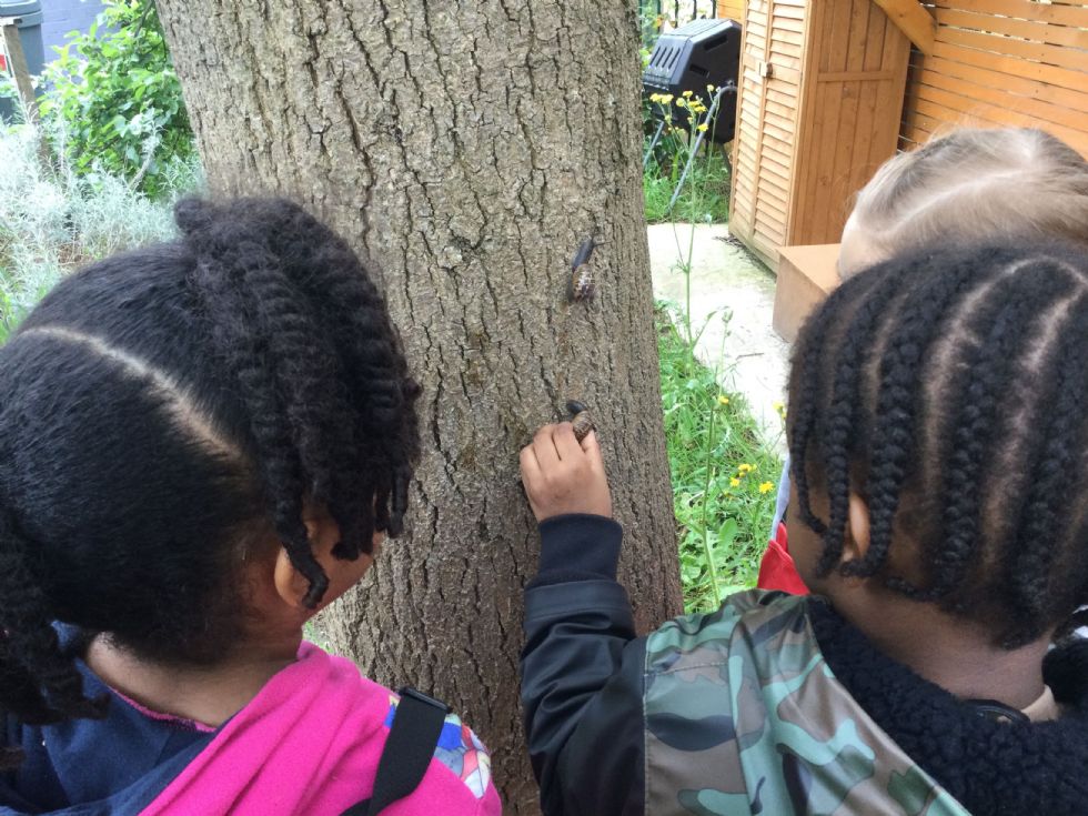 3 children place a snail safely back on the bark of a tree