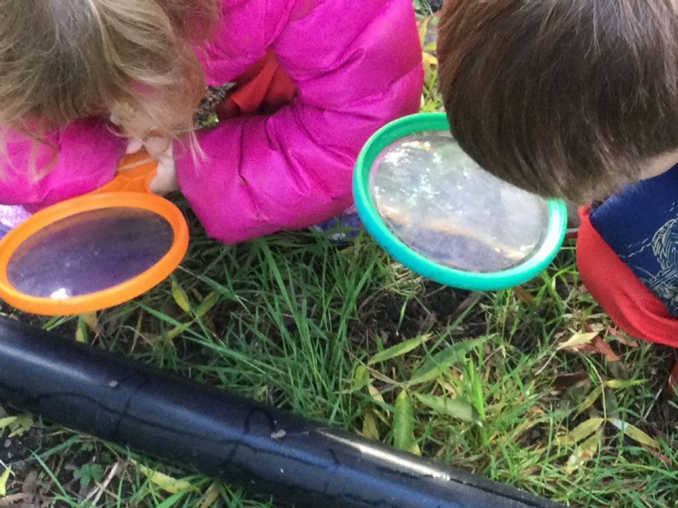 2 children use magnifying glasses to exam the grass and the creatures in it