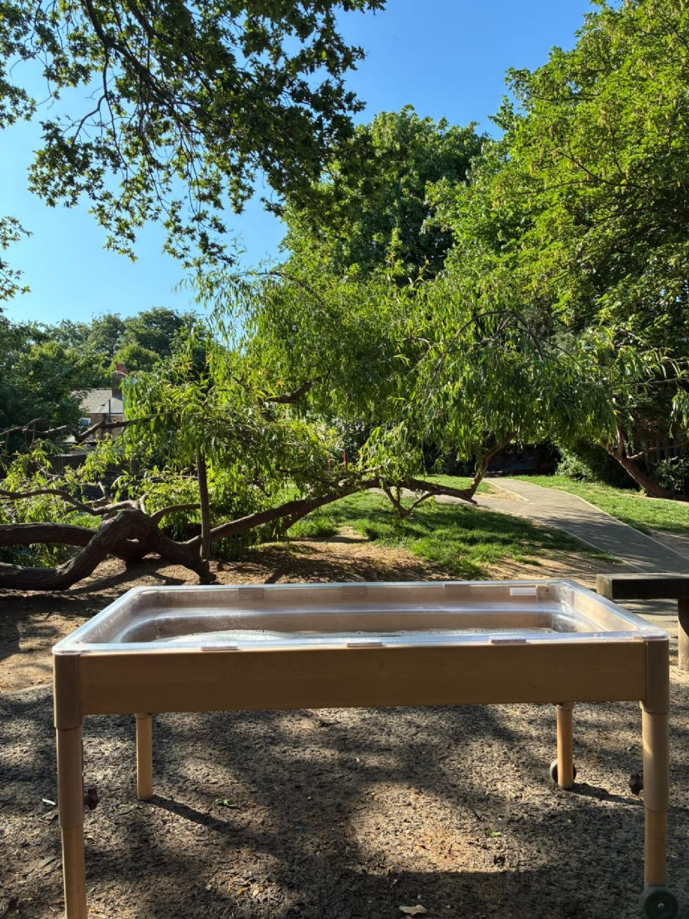 Looking out at the garden over a water tray. Nearby is the climbing willow tree. A path leads off towards the rest of the garden and Forest School area.