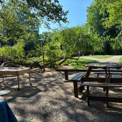 Picnic table with jigsaws, water play and climbing willow
