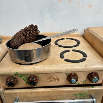 Pinecone soup  for lunch