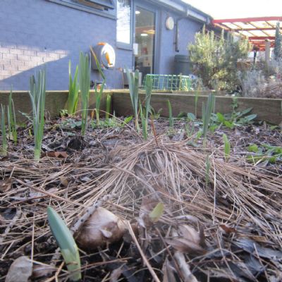 Early Spring