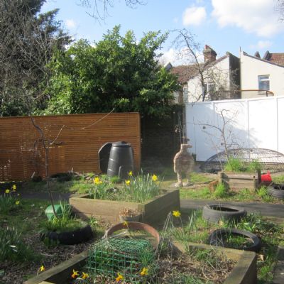 Looking across the garden to the pond